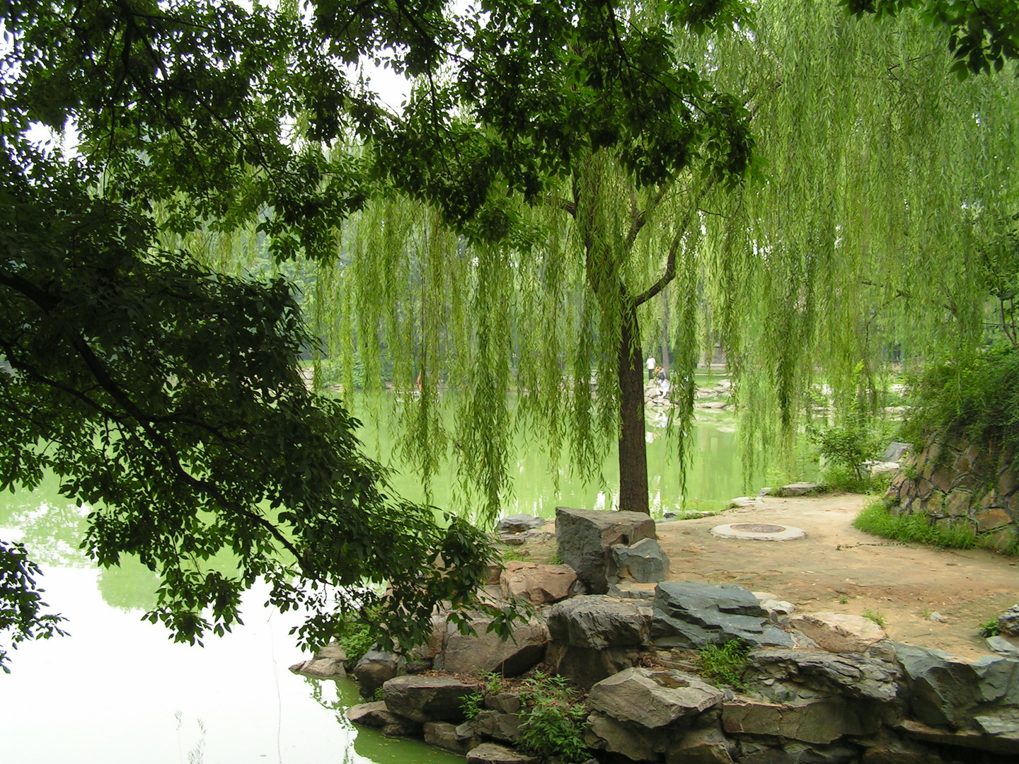 Beijing_20060724_032.jpg